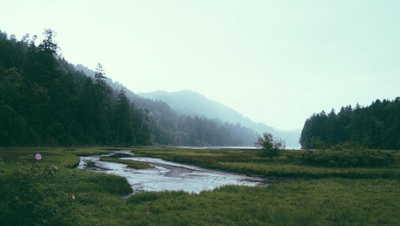 Misty River