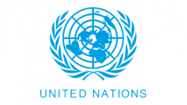 United Nations Logo